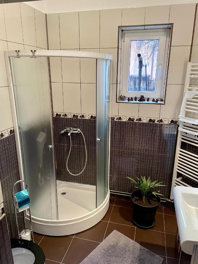 Mosaico Alfetta Hostel Timişoara Eksteriør billede