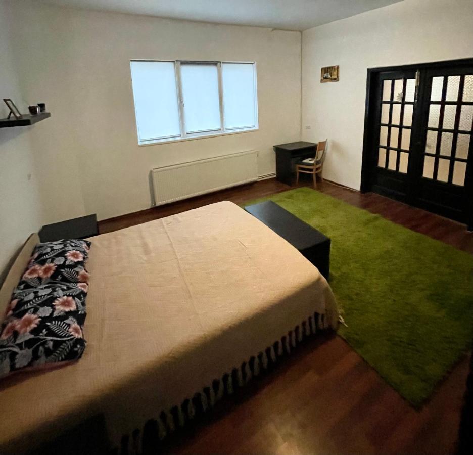 Mosaico Alfetta Hostel Timişoara Eksteriør billede