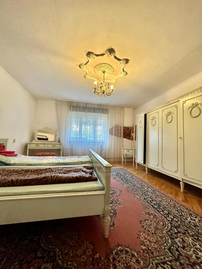 Mosaico Alfetta Hostel Timişoara Eksteriør billede