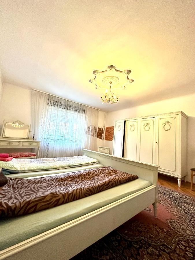 Mosaico Alfetta Hostel Timişoara Eksteriør billede