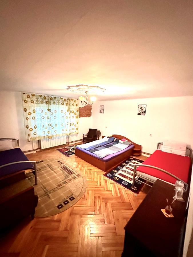 Mosaico Alfetta Hostel Timişoara Eksteriør billede