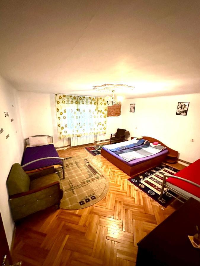 Mosaico Alfetta Hostel Timişoara Eksteriør billede